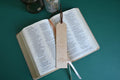 The stars worship Bookmark