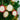 Christmas verse bauble ornament set - Birch and Tides