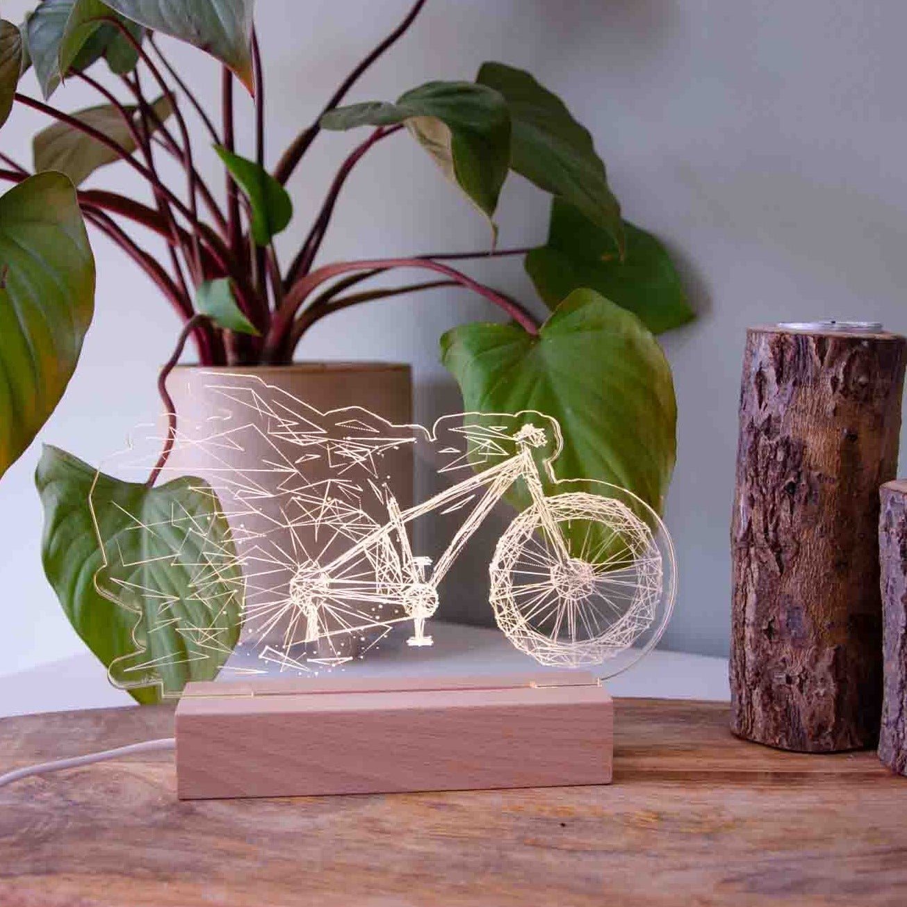 Cycling bike engraved desk light