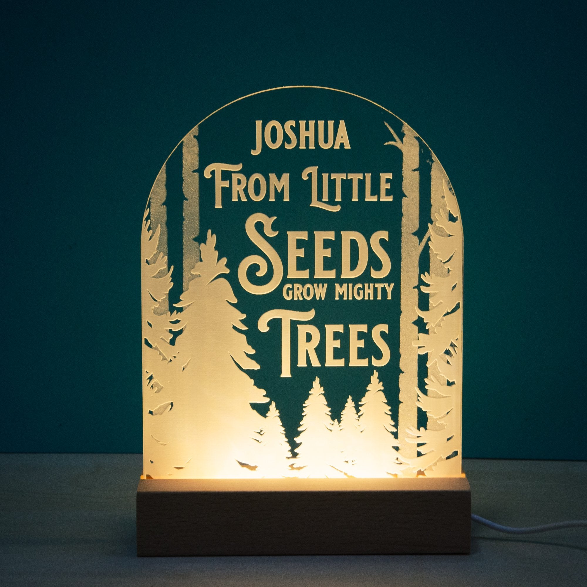 From little seeds grow mighty trees pattern night light