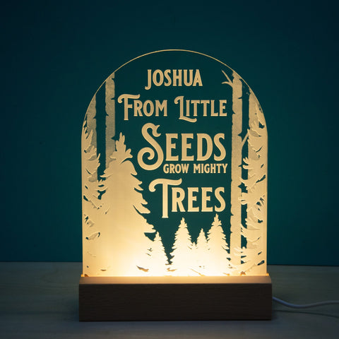 From little seeds grow mighty trees pattern night light - Birch and Tides