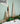 Set of 3 wooden freestanding trees - Birch and Tides
