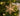 Snowflake set of 4 Christmas ornaments - Birch and Tides