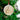 The year we came back together 2021 wooden ornament - Birch and Tides