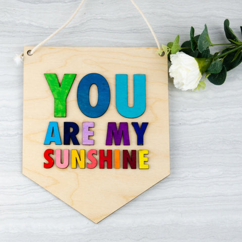 You are my sunshine Rainbow colour banner - Birch and Tides